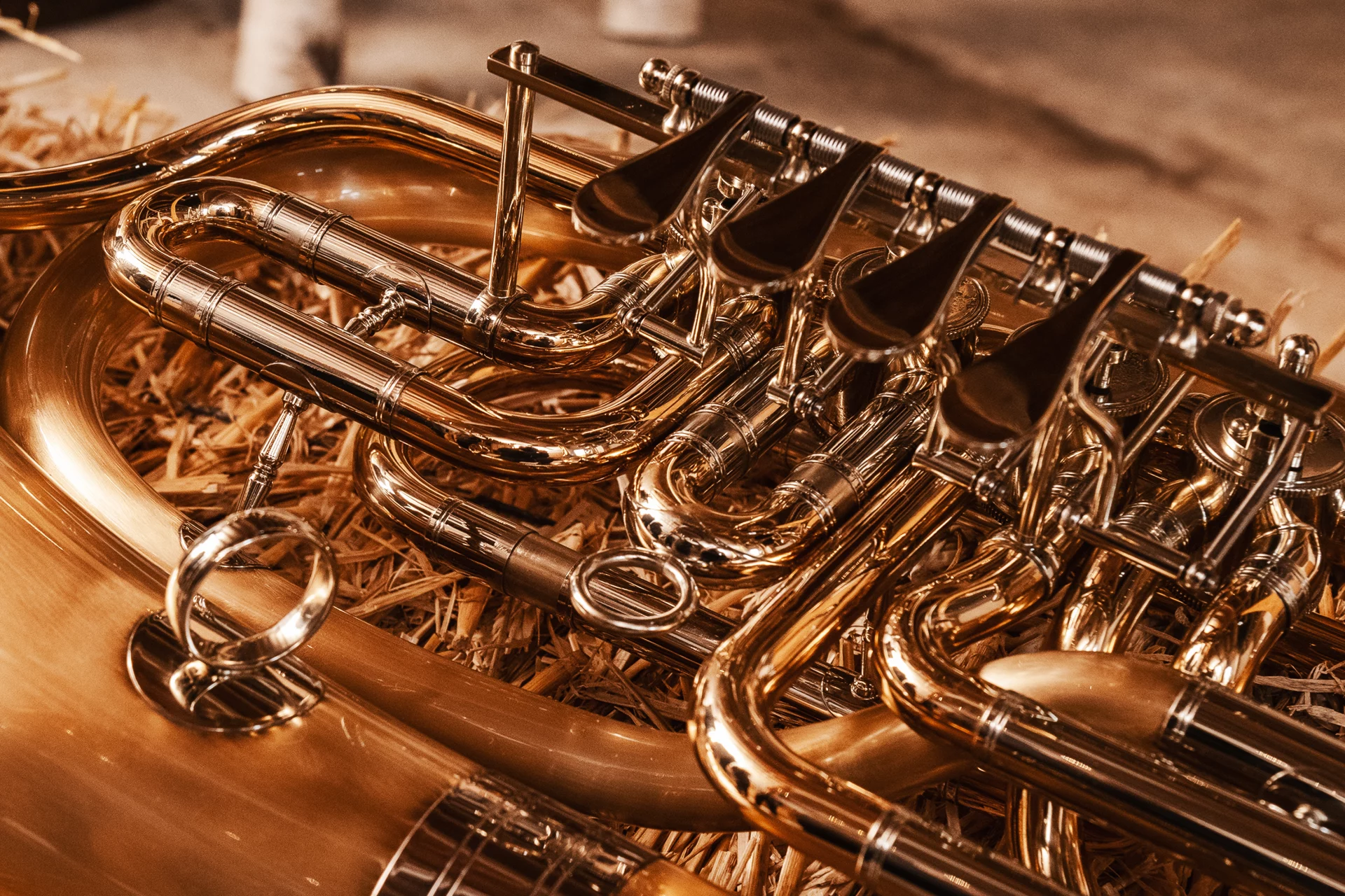 Musikkapelle Bühlerzell Posaune 02